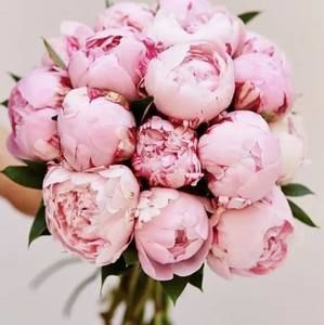 Meet your Posher, Catherine